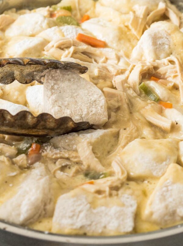 https://thenovicechefblog.com/wp-content/uploads/2009/02/Stove-Top-Chicken-and-Dumplings-with-Biscuits-4-sm-600x809.jpg