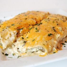 Chicken Enchiladas Recipe