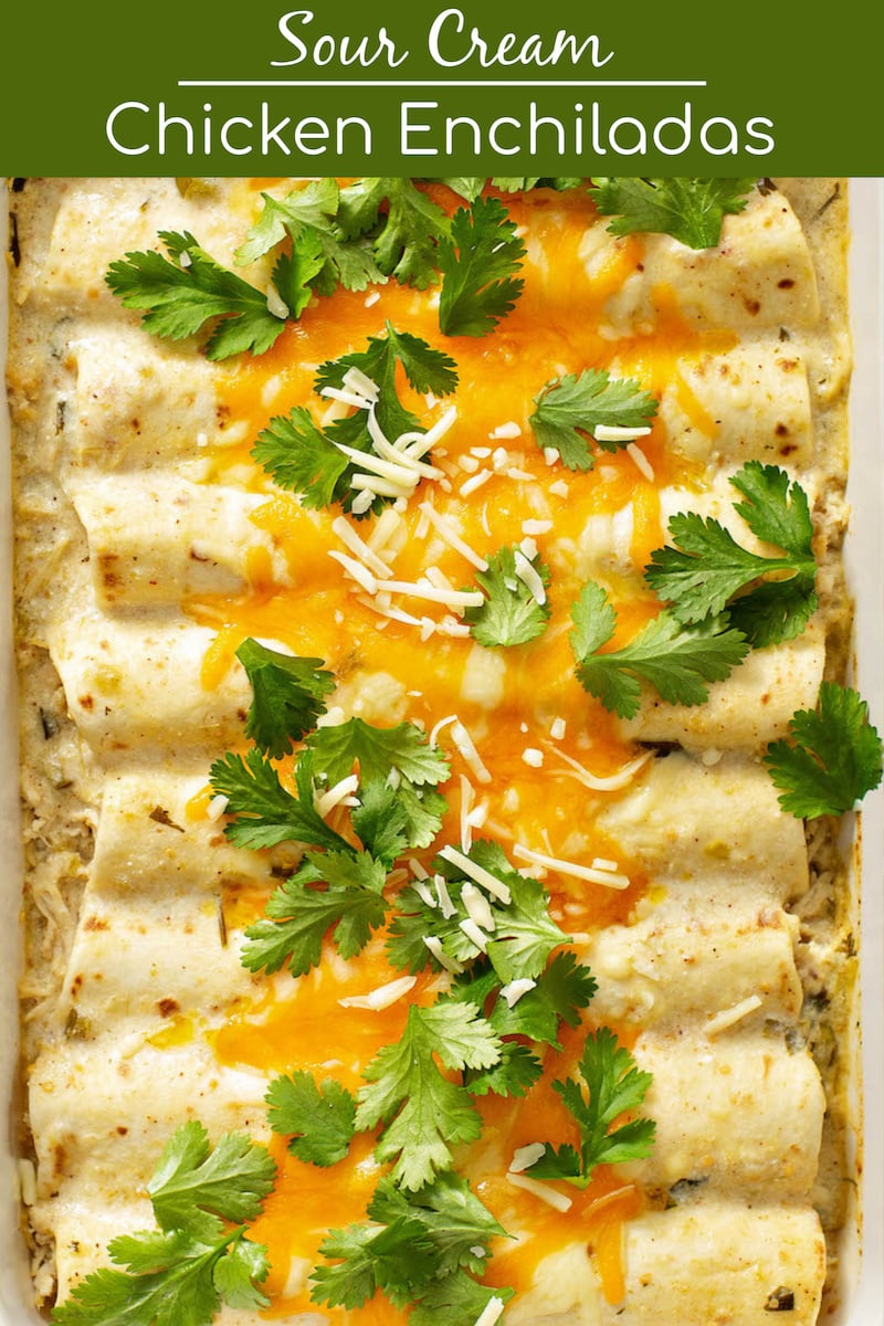 This Sour Cream Chicken Enchiladas recipe will have everyone begging for more! Made with homemade white enchilada sauce, shredded chicken & melty cheese! #ChickenEnchiladas #Enchiladas #ChickenEnchiladaRecipe #WhiteChickenEnchiladas #WhiteChickenEnchiladasRecipe #EnchiladasRecipe #Chicken #MexicanFood #TexMex #TexMexRecipes