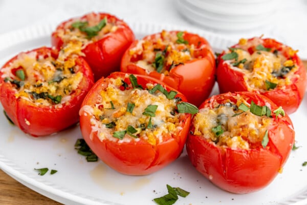 Cheese Stuffed Tomatoes Recipe | The Novice Chef