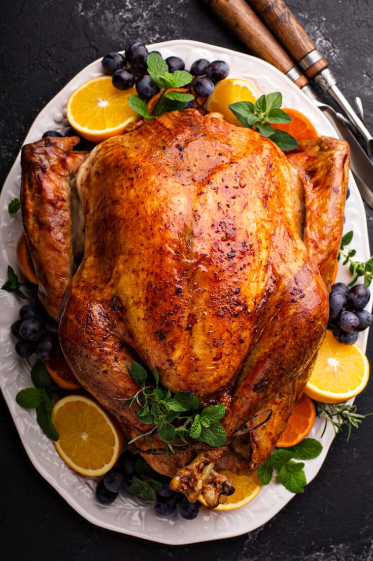 How to Cook a Perfect Thanksgiving Turkey - Easy Recipe!