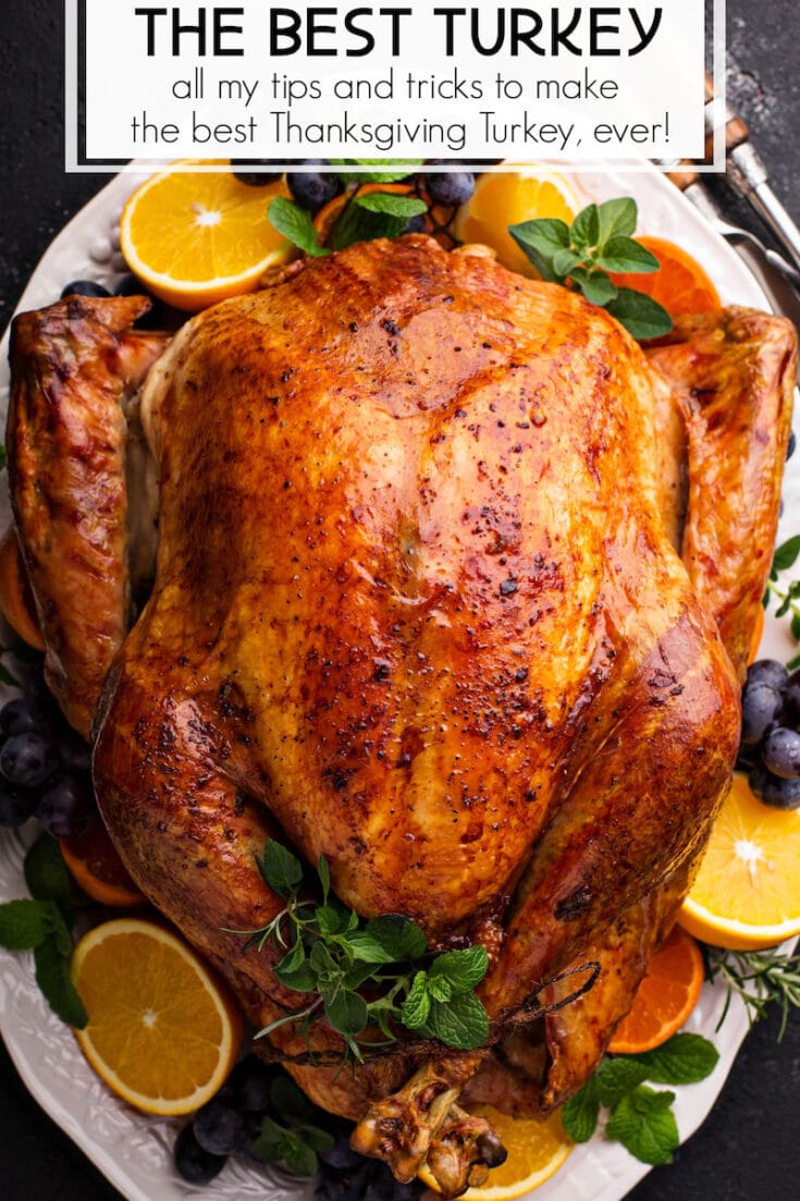 How to Cook a Perfect Thanksgiving Turkey - Easy Recipe!