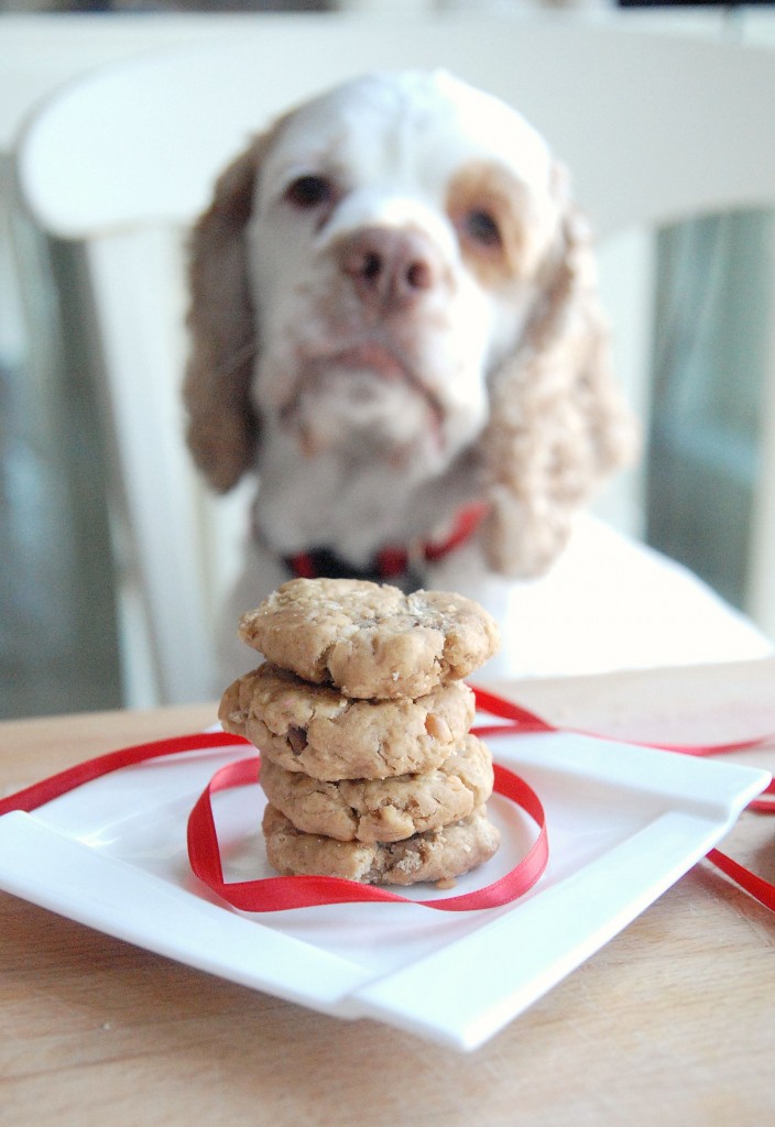 A stack of 4 peanut butter dog treats with a dog in the background.