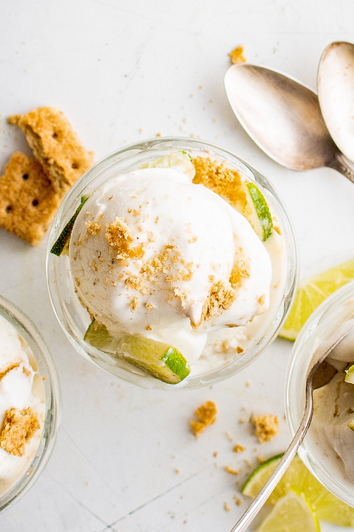 Overhead shot of frozen yogurt scoops, topped with graham cracker crumbs.