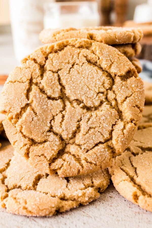 Front view of a brown butter sugar cookie