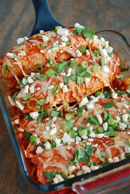 Cheesy Buffalo Chicken Enchiladas Recipe Dinner Ideas