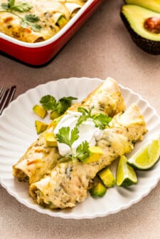 Two white chicken enchiladas with sour cream, avocado, and cilantro.