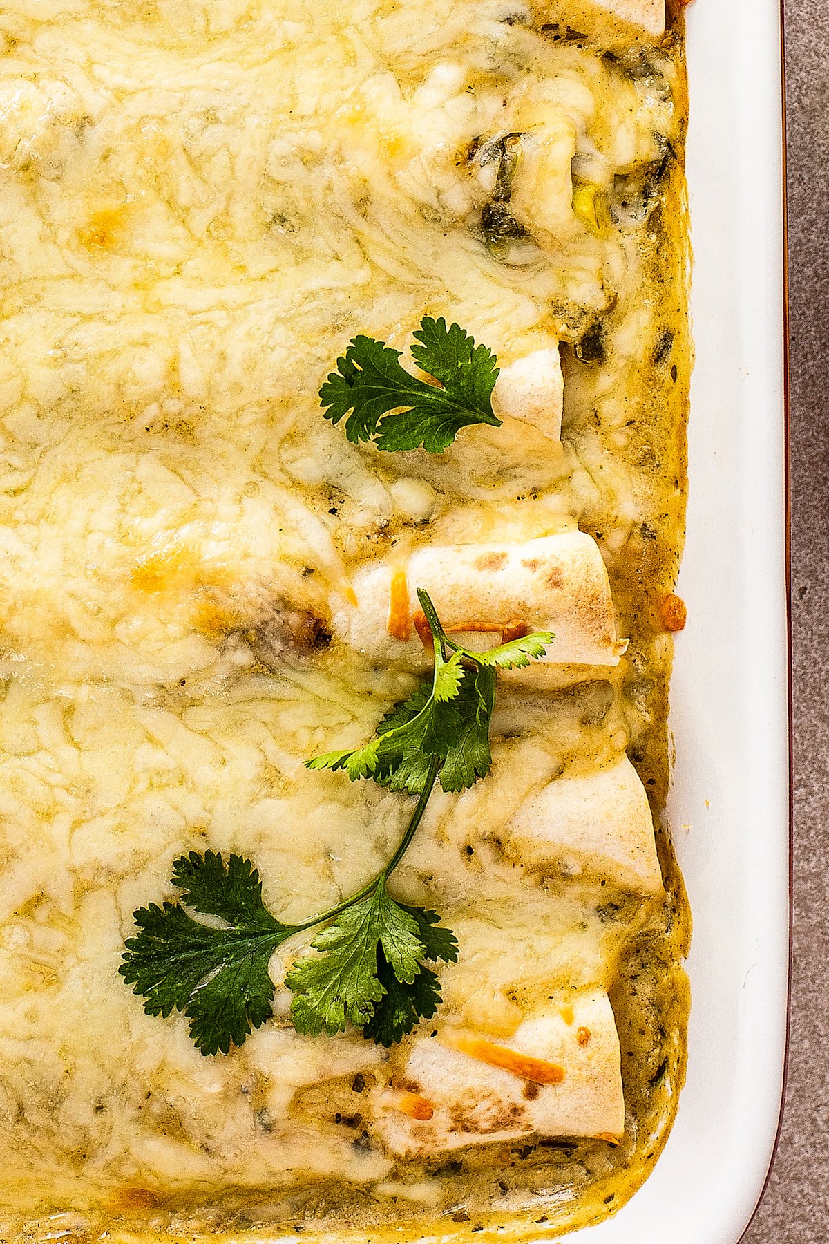 Close-up of freshly baked creamy chicken enchiladas with melted, bubbly cheese in a baking dish. 