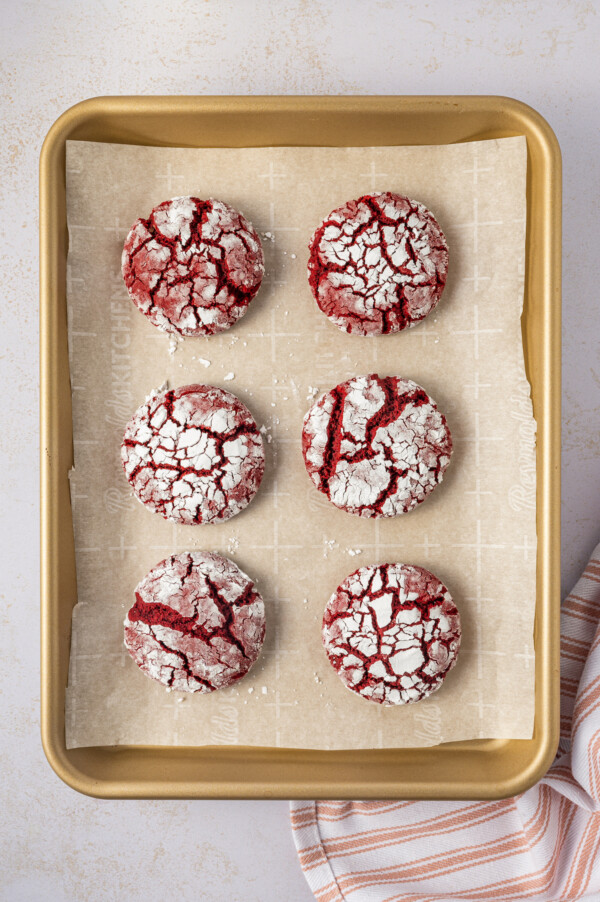 Red velvet crinkle cookies on a baking sheet.