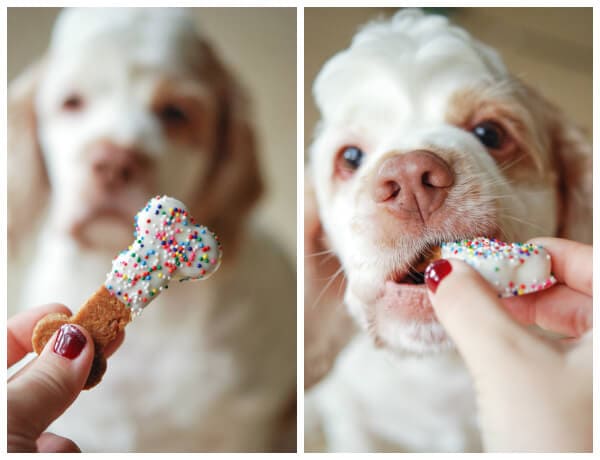 Peanut butter dog treats with white flour best sale