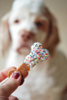 Dog bone with white chocolate and sprinkles in corn too a dog