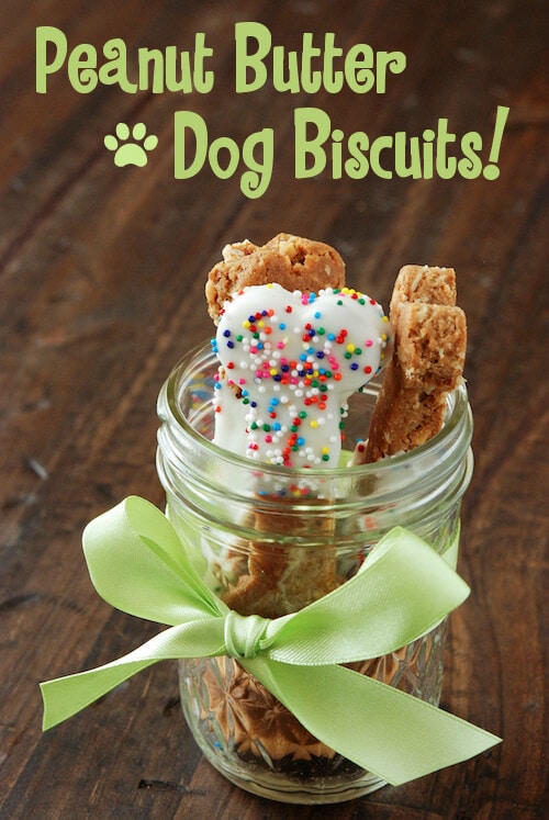 A mason jar filled with peanut butter dog biscuits