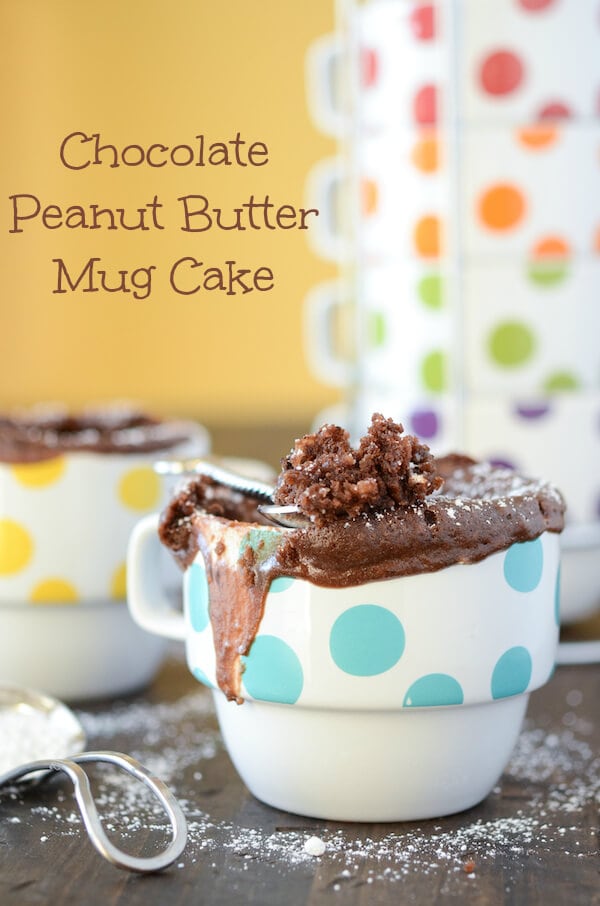 Chocolate Peanut Butter Mug Cake  The Novice Chef