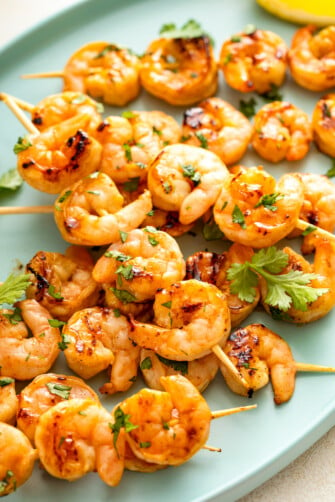 Sweet & Sticky Grilled Shrimp Skewers | The Novice Chef