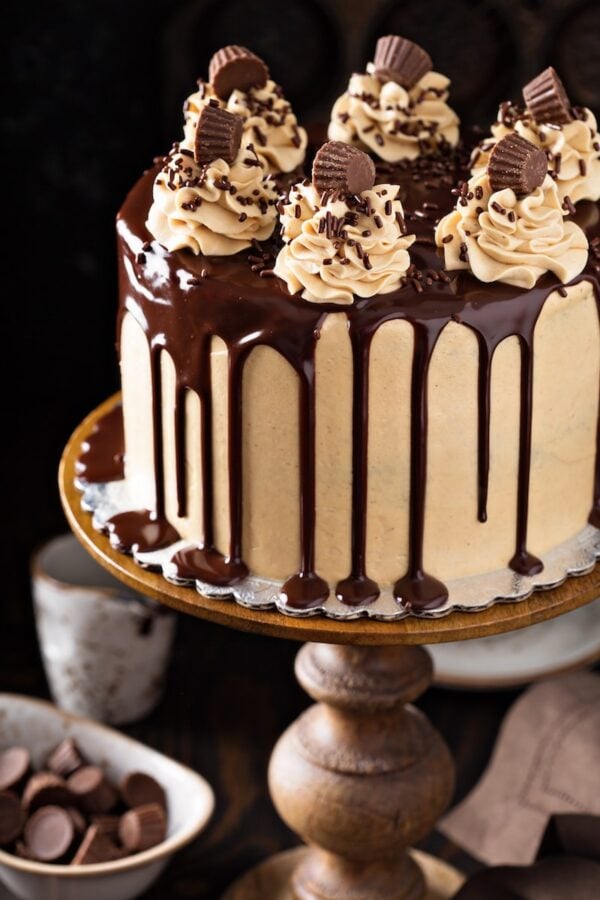 Chocolate peanut butter cake on a pedestal. 