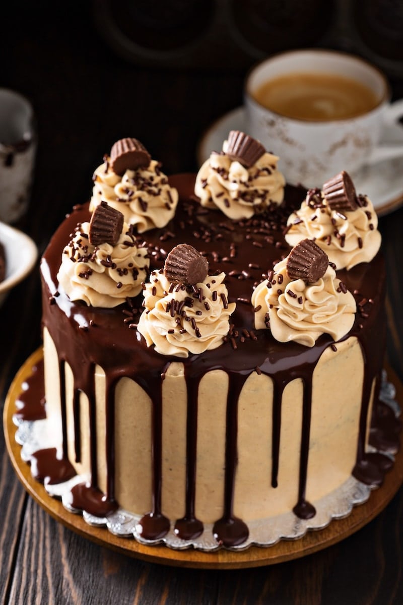 Chocolate Peanut Butter Cake - The Novice Chef