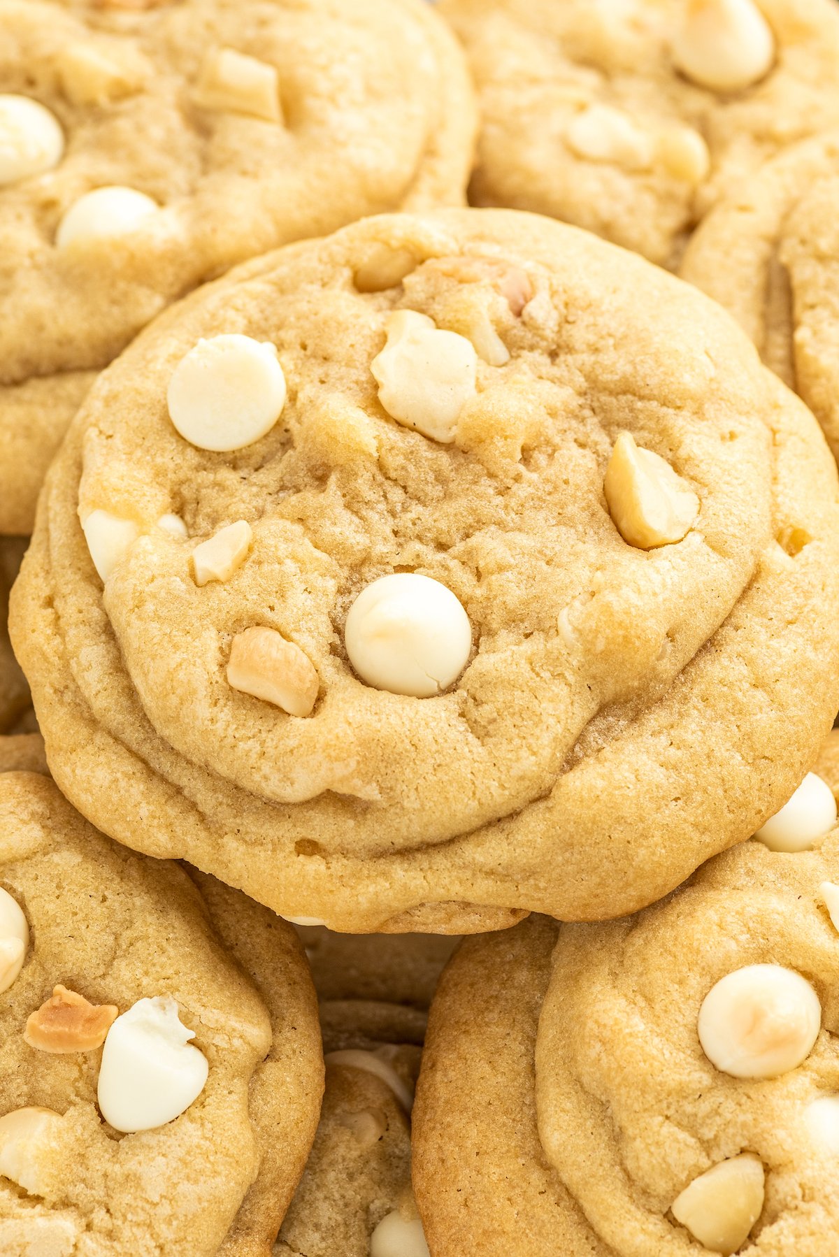 Close-up shot of thick, white chocolate macadamia nut cookies.