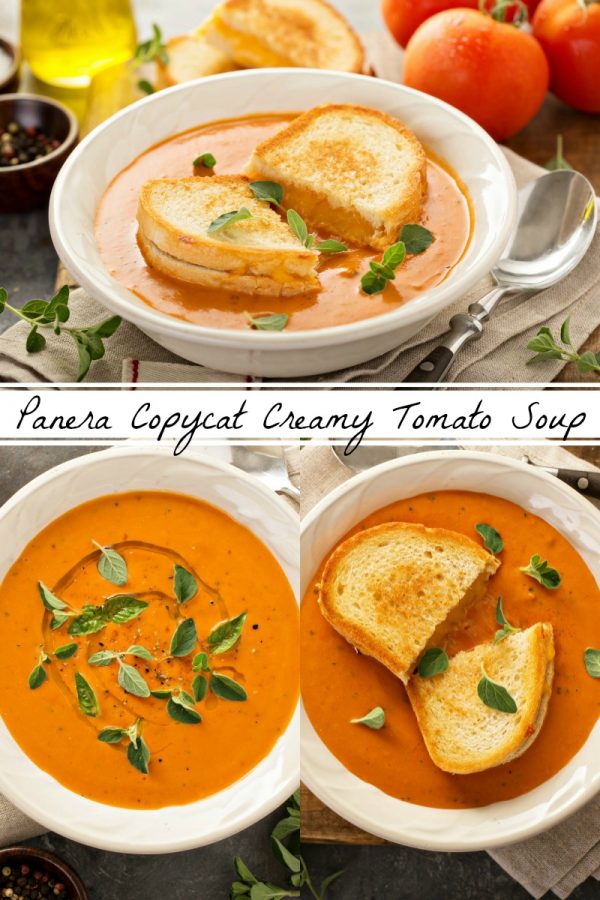 Panera Creamy Tomato Soup Copycat Recipe The Novice Chef