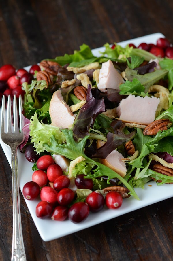 Turkey Salad with Cranberry Vinaigrette on a white plate with a fork