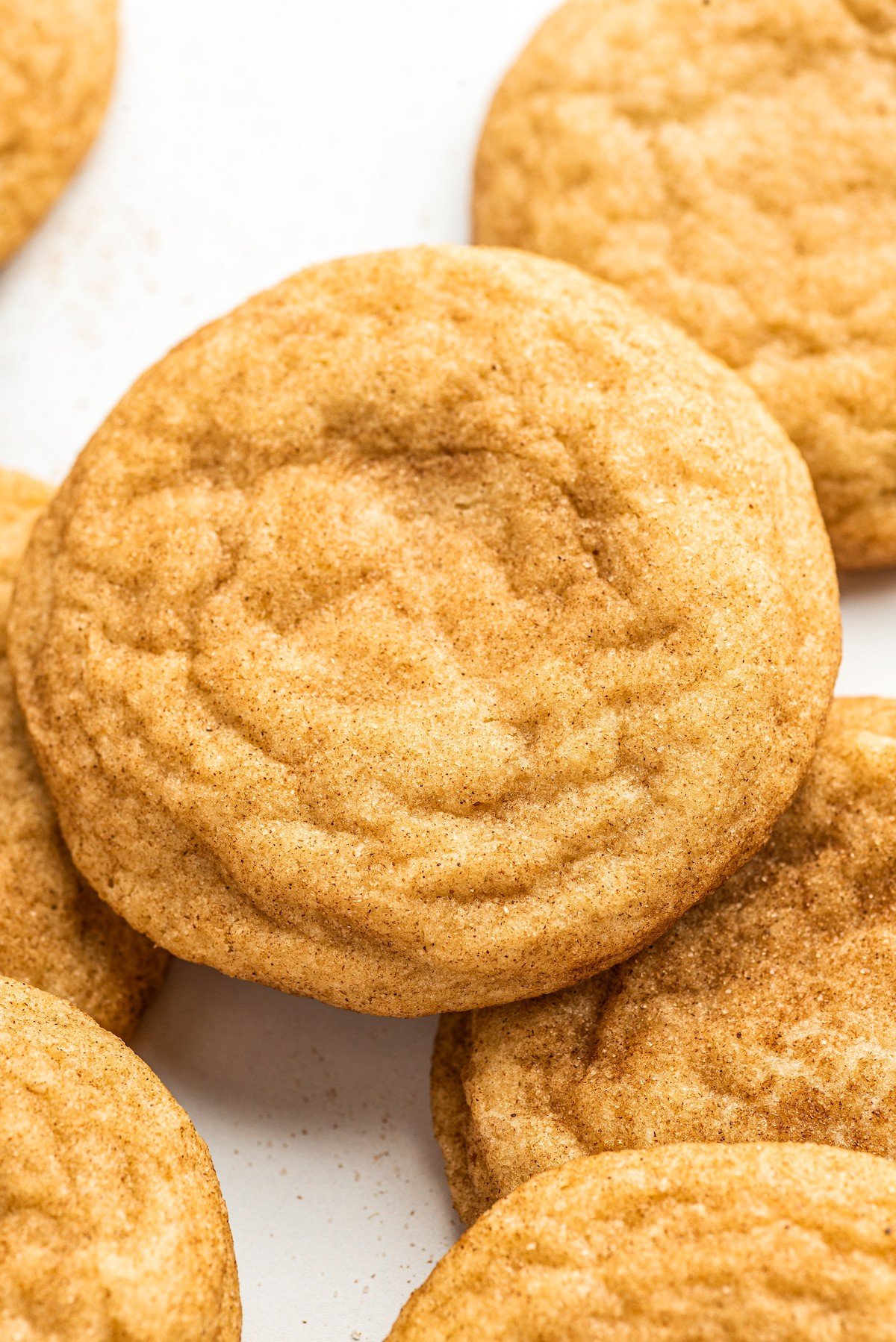 Chewy snickerdoodle cookie with cinnamon sugar coating. 