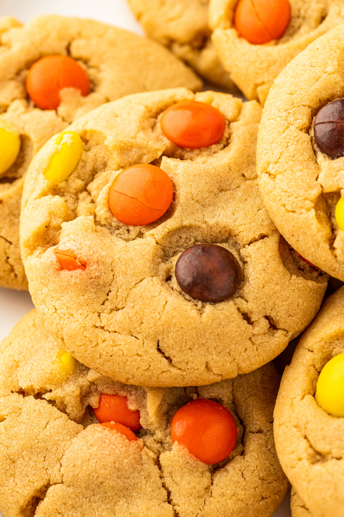 Close-up shot of cookies studded with candies, showing the texture of the baked cookie dough.