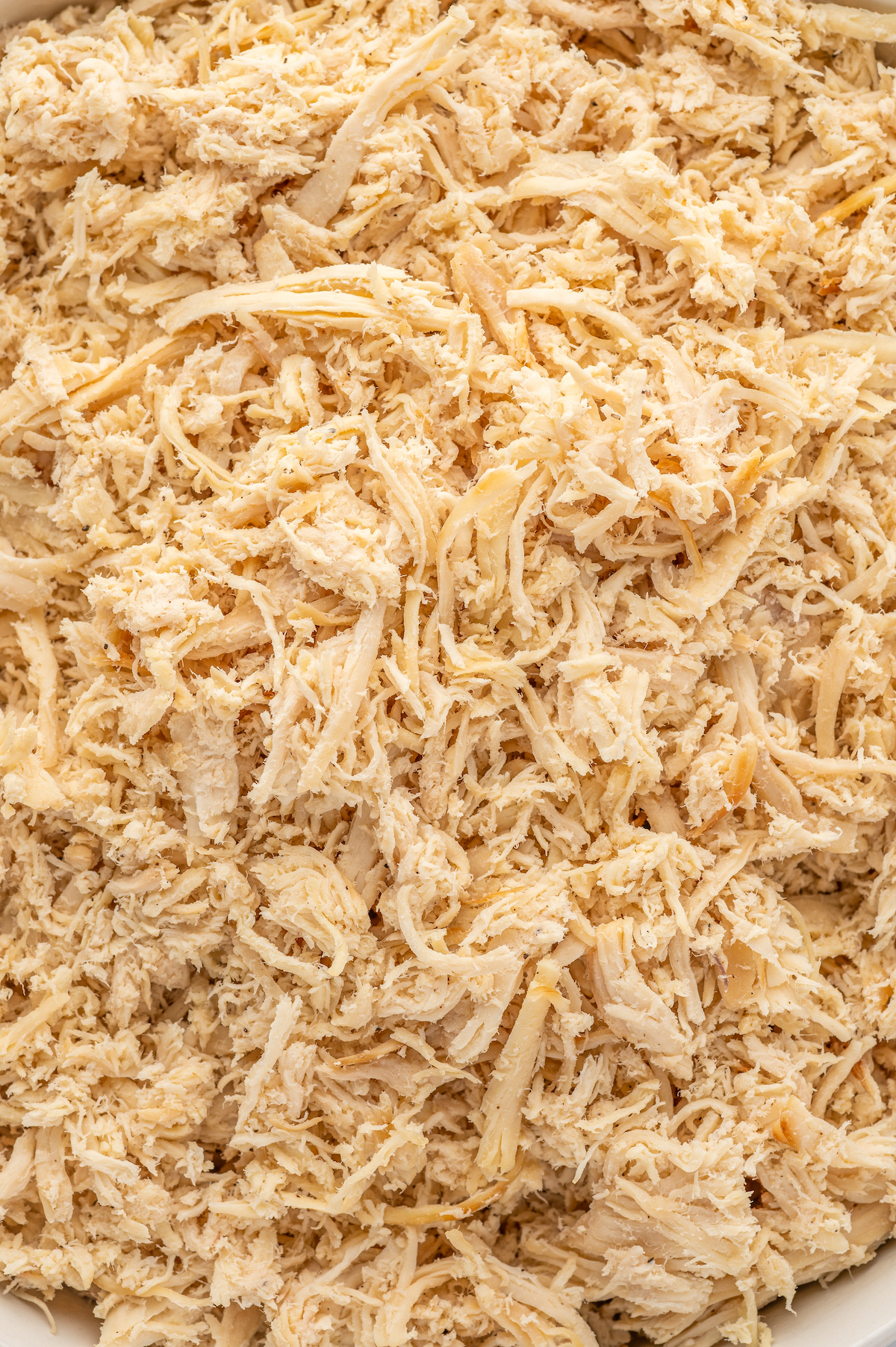 Close-up of juicy shredded chicken.