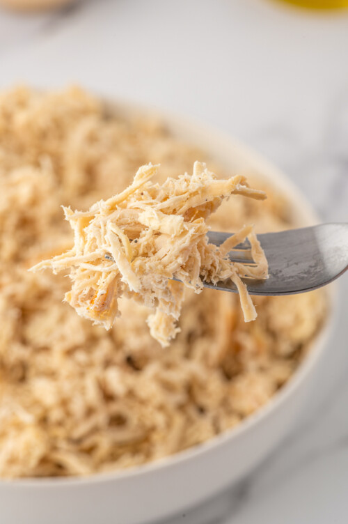 Best Shredded Chicken Recipe | The Novice Chef