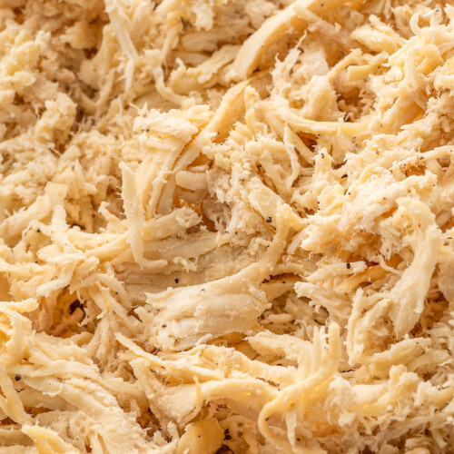 How to Cook Shredded Chicken {+25 Shredded Chicken Recipes}