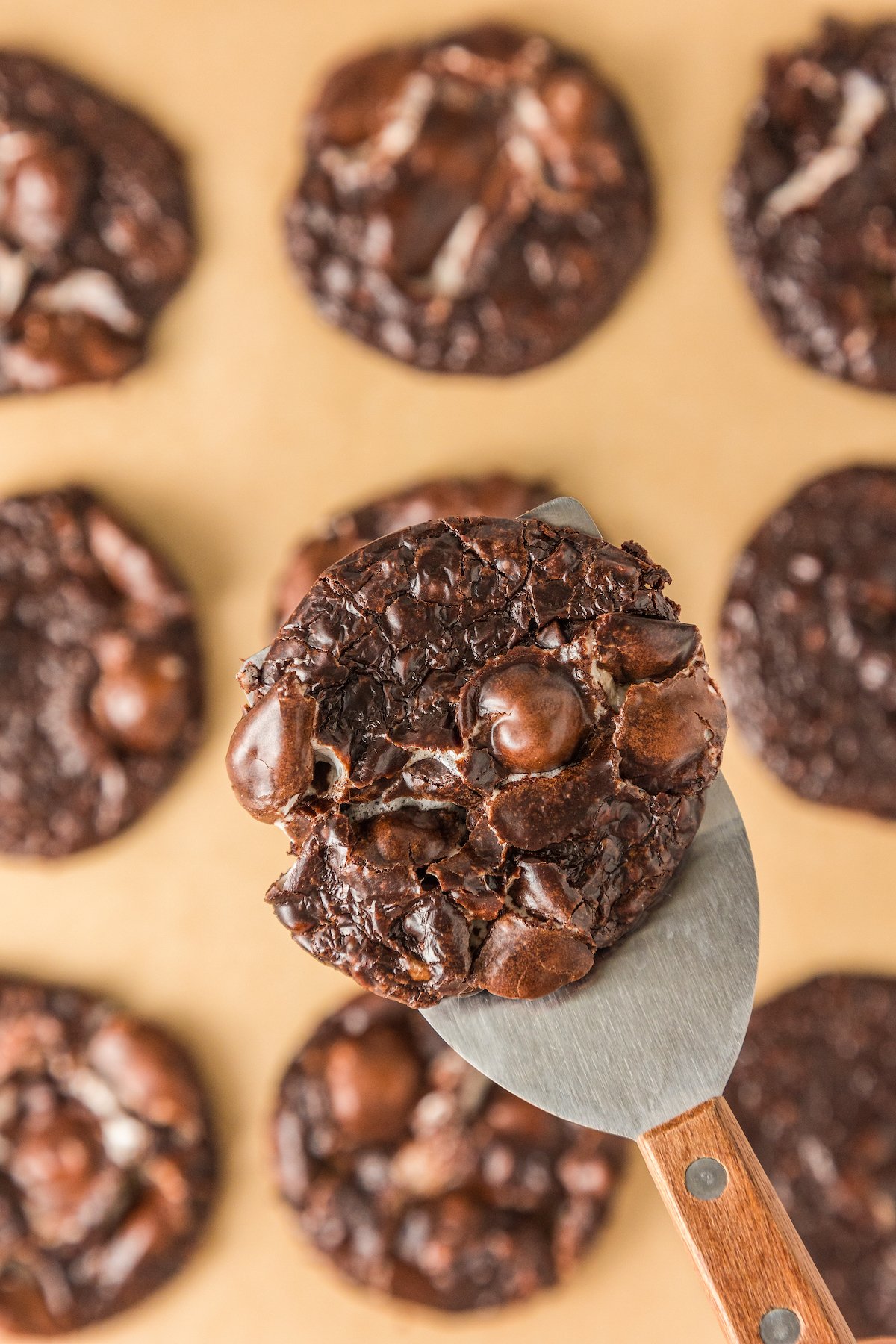 Lifting a chocolate cookie toward the camera with a spatula.