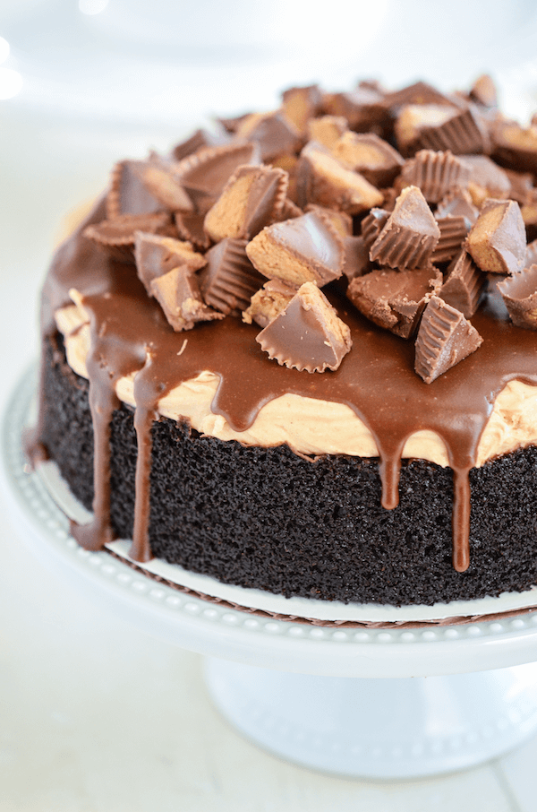 Reese's Dark Chocolate Cake! Perfect decadent one layer cake.