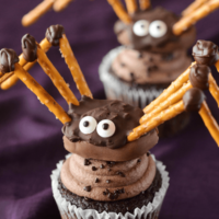 A Close-Up Shot of a Pretzel Spider on Top of a Chocolate Cupcake