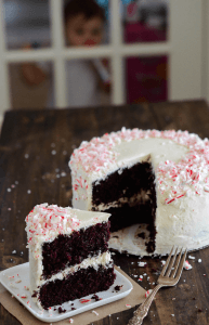 Chocolate Peppermint Dream Cake | Best Holiday Dessert Recipe