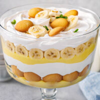Banana Pudding layered in a large bowl.