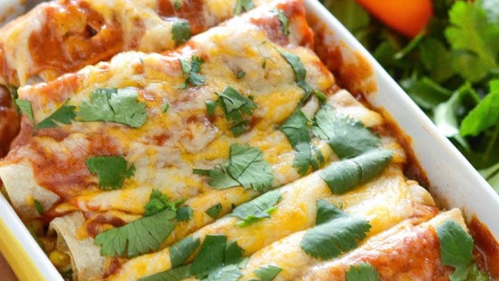 Vegetable Enchiladas Recipe The Novice Chef