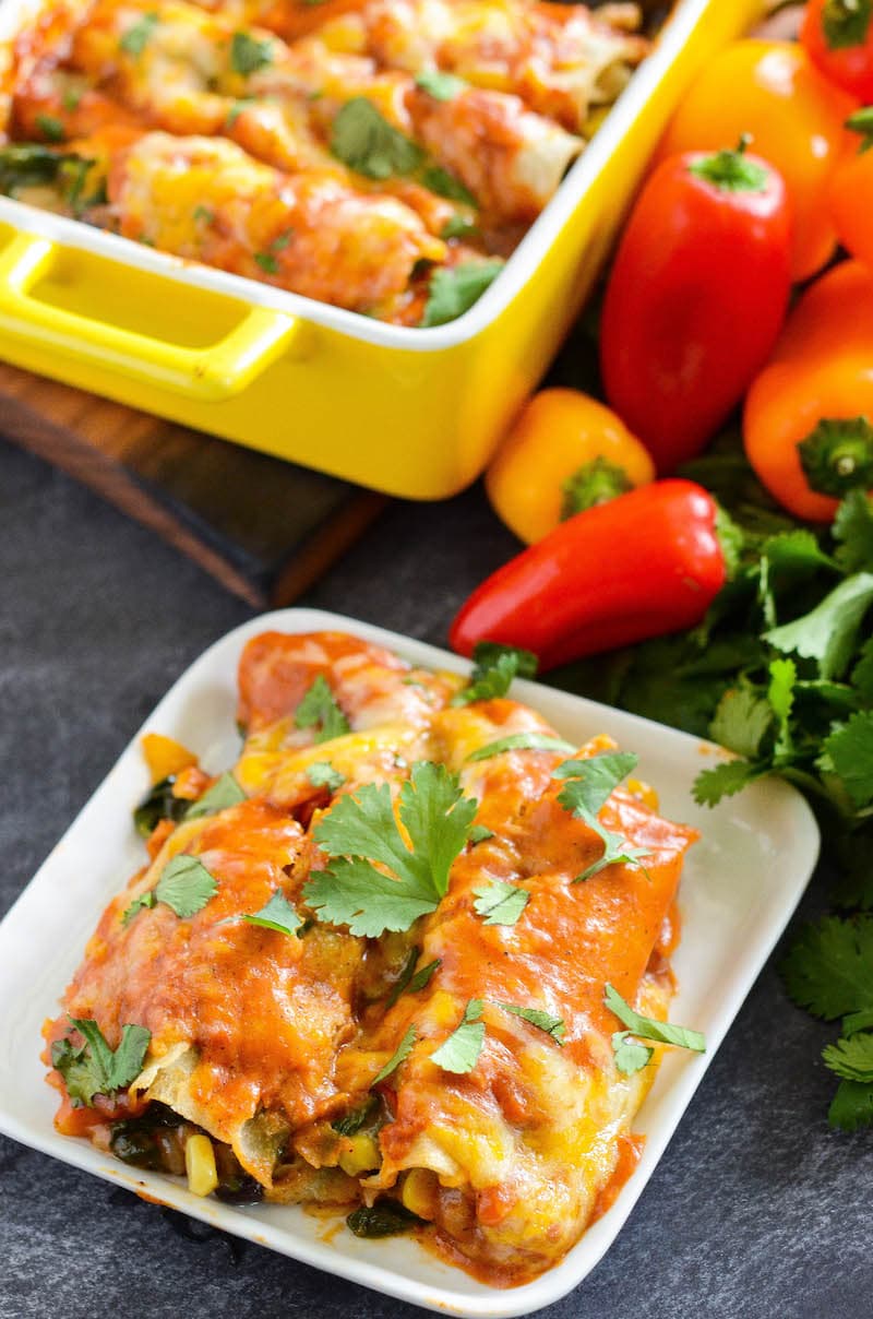 Two vegetable enchiladas with sauce, cheese, and cilantro on top.