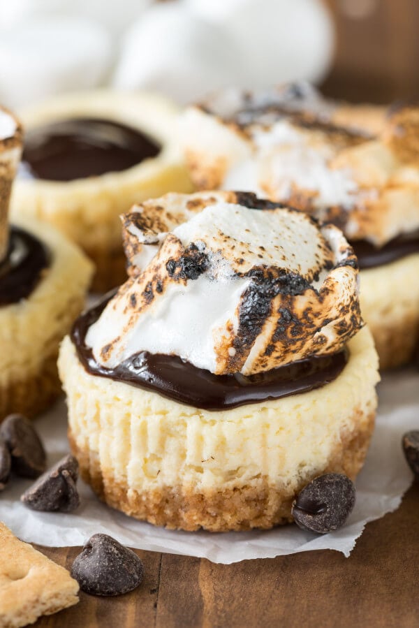 A Mini S'mores Cheesecake with Chocolate Chips