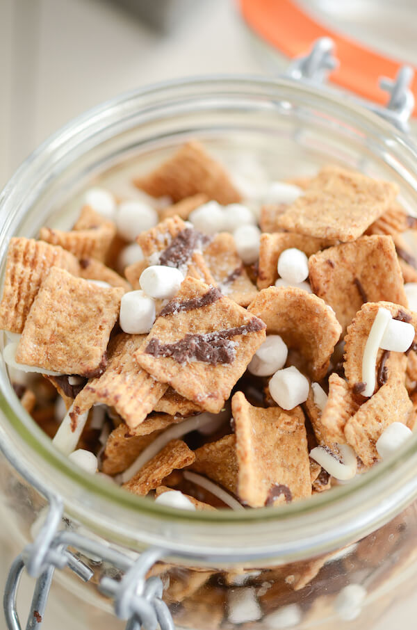 10 Must Make S'mores Recipes | The Novice Chef