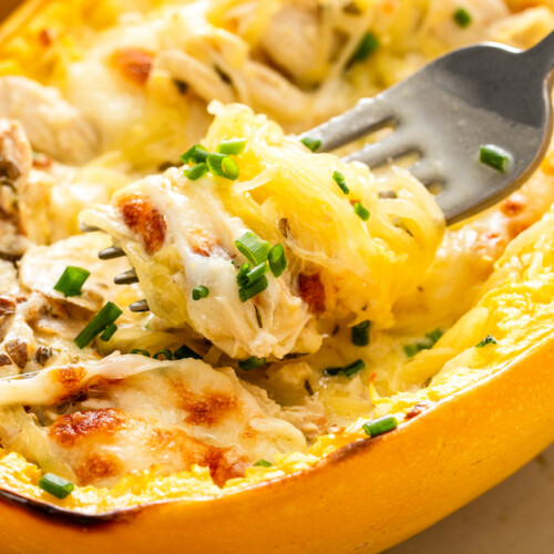 Four Cheese Chicken Stuffed Spaghetti Squash Recipe | The Novice Chef