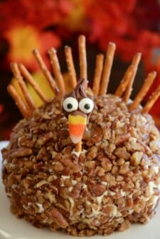 A cheese ball decorated to look like a turkey on a plate, with fall leaves in the background.