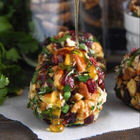 Cranberry Pecan Goat Cheese Truffles: these festive mini cheese balls only take 15 minutes and are loaded with creamy goat cheese, cranberries and crunchy pecans!