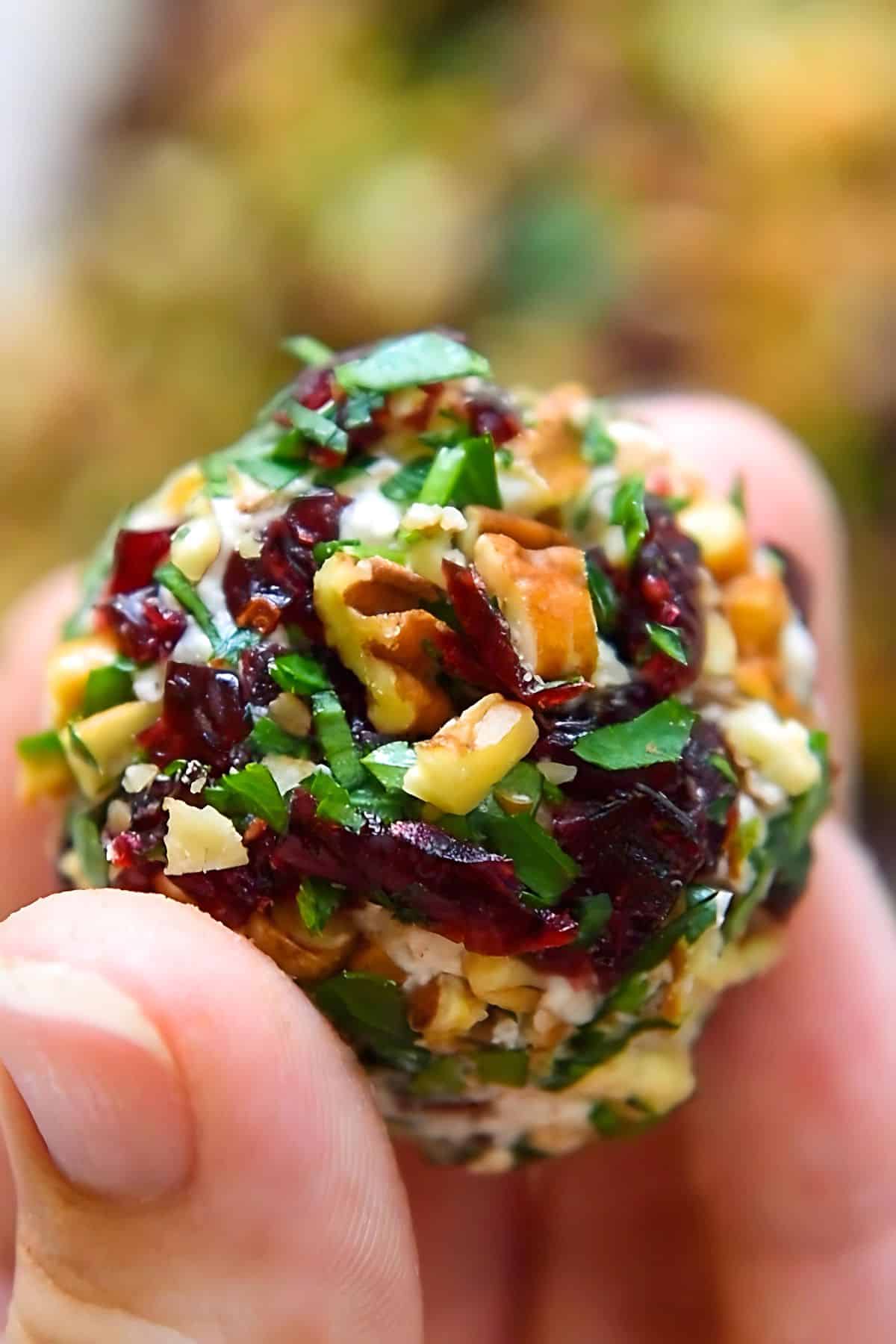 A singe Christmas goat cheese ball is being held by a hand.