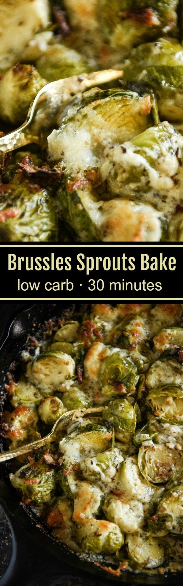Creamy Baked Brussel Sprouts Recipe The Novice Chef