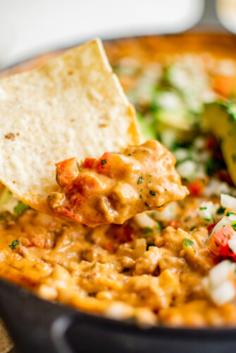 Taco Beer Cheese Dip | The Novice Chef