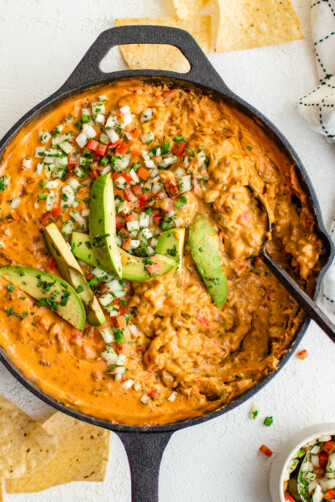 Taco Beer Cheese Dip | The Novice Chef