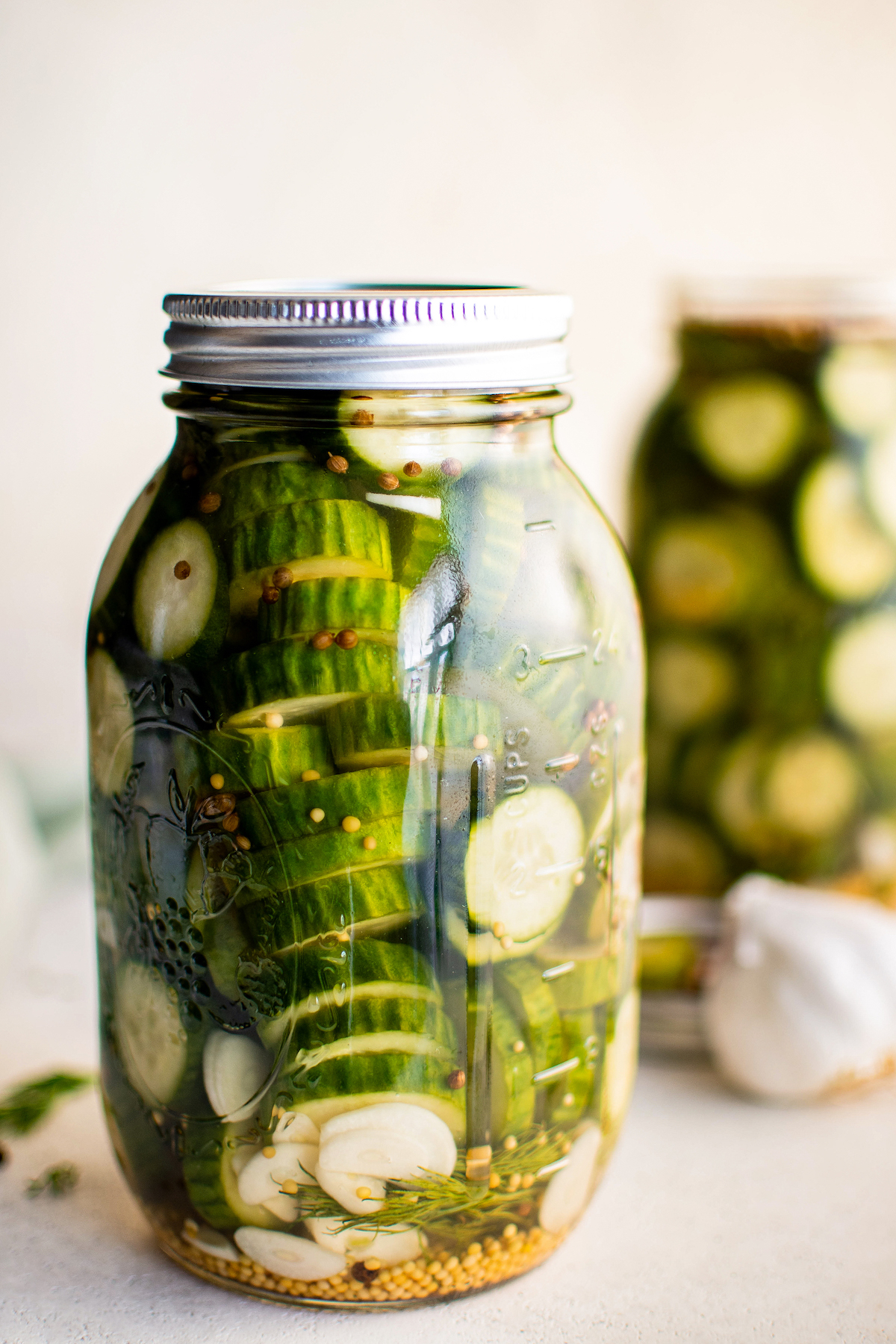 Jar of dill pickles in brine and whole spices.