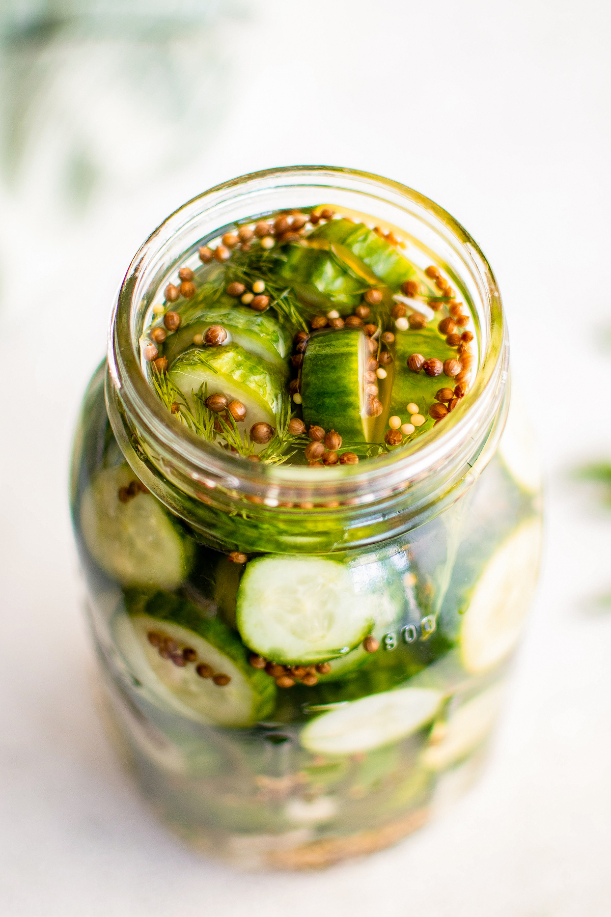 Close-up of refrigerator dill pickles in the jar with dill, mustard and coriander seeds floating on top.