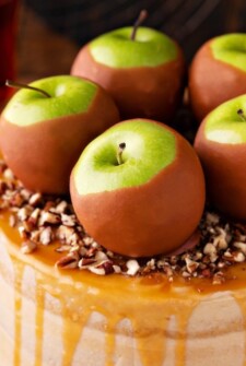 Caramel Apple Dream Cake: three big layers of super moist apple spiced cake, made completely from scratch, frosted with sweet caramel frosting! #Apple #cake #layercake #fallrecipes #dessert #caramel