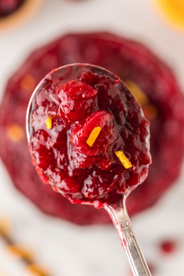 A spoonful of fresh cranberry sauce is lifted from the bowl.