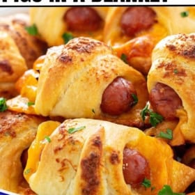 Cheesy ranch pigs in a blanket are topped with fresh herbs.