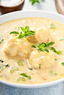 Chicken and dumplings in a large white bowl.